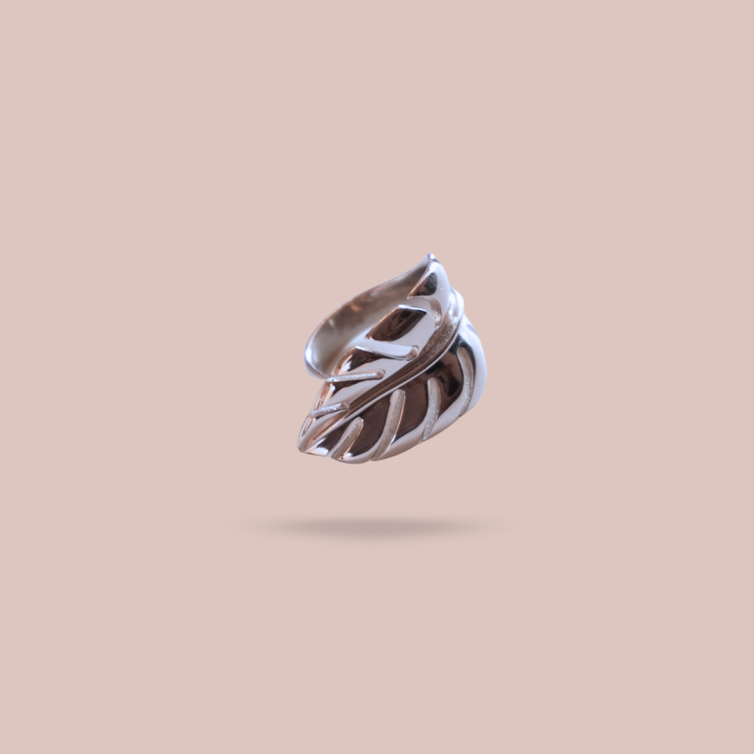 Anillo Natura