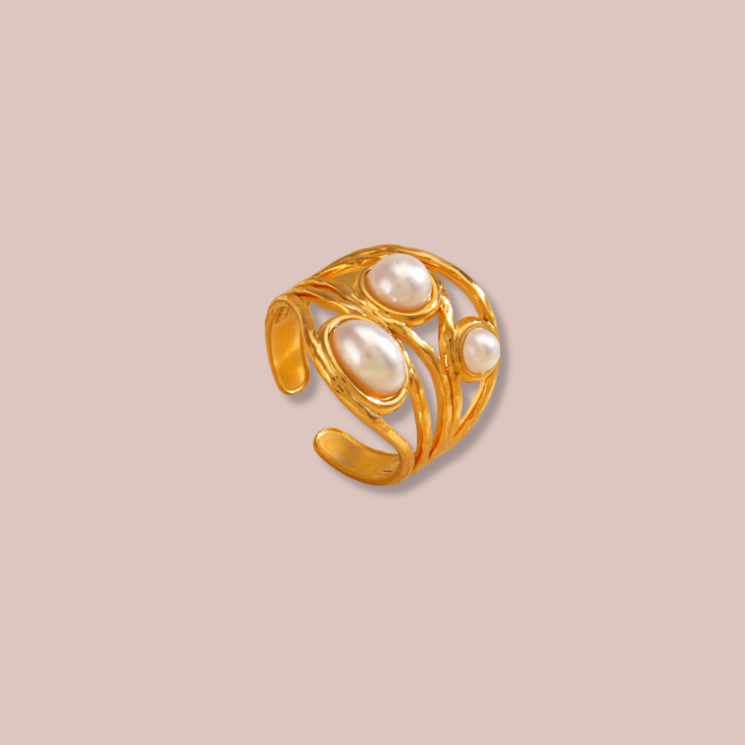 Anillo Nido
